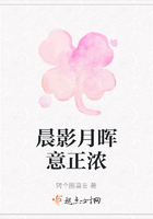 晨影月暉意正濃在線閱讀