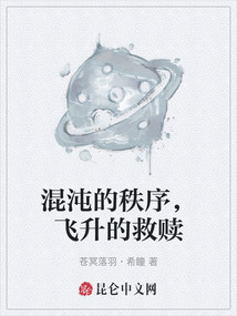 混沌的秩序，飛升的救贖