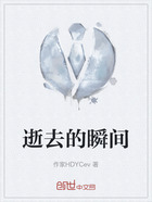 逝去的瞬间在线阅读