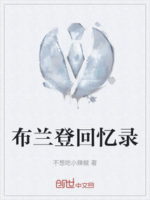 布蘭登回憶錄