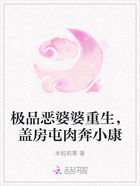 极品恶婆婆重生,盖房屯肉奔小康在线阅读
