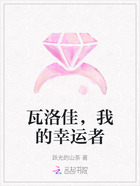 瓦洛佳,我的幸运者在线阅读