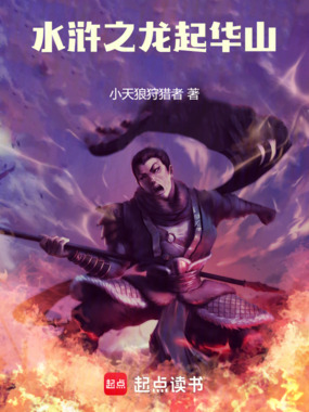 水浒之龙起华山在线阅读