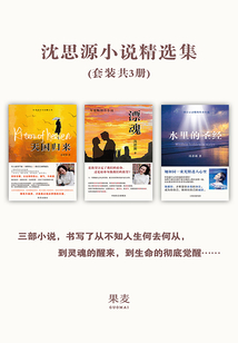 沈思源小说精选集:天国归来+漂魂+水里的圣经(套装共3册)