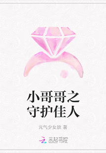 小哥哥之守护佳人