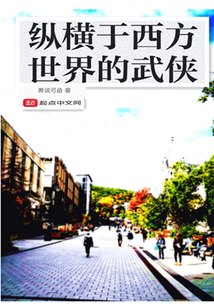 縱橫于西方世界的武俠