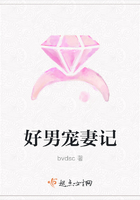 好男寵妻記在線閱讀