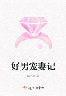 好男寵妻記