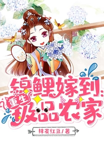 錦鯉嫁到:重生極品農家