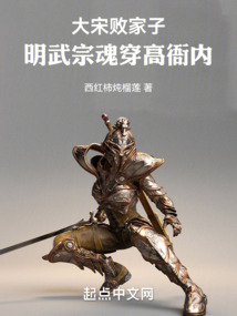 大宋敗家子：明武宗魂穿高衙內