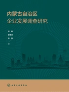 内蒙古自治区企业发展调查研究在线阅读