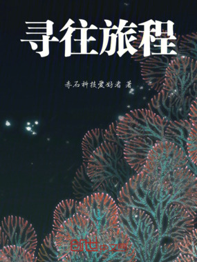 寻往旅程在线阅读