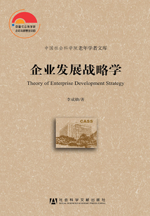企業發展戰略學