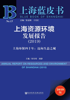 上海蓝皮书 上海资源环境发展报告（2019）：上海环保四十年：迈向生态之城