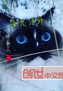 圣光法師