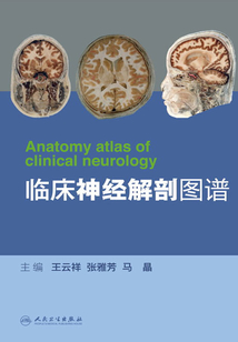 臨床神經解剖圖譜