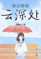錦上繁花云深處在線閱讀