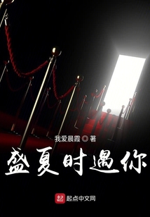盛夏時遇你