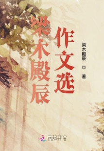 梁木殿辰作文選