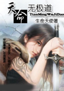 天命无极道 cover