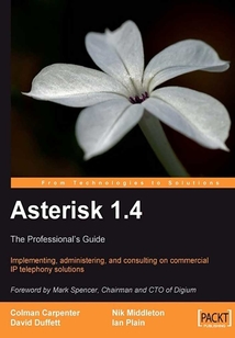 Asterisk 1.4 : The Professional's Guide