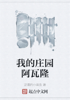 我的庄园阿瓦隆在线阅读