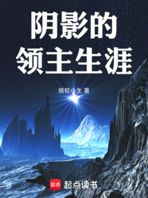 陰影的領主生涯