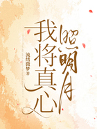 我将真心照明月在线阅读