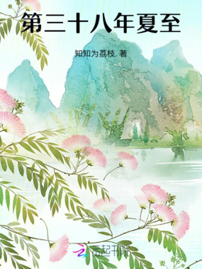第三十八年夏至在线阅读