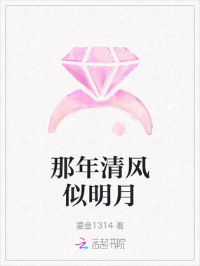 那年清风似明月在线阅读