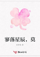 寥落星辰，莫在線閱讀