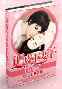 总裁的调皮小妻子