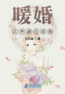 暖婚之養妻已成癮