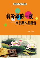 翡冷翠的一夜：徐志摩作品精选（感悟文学大师经典）在线阅读