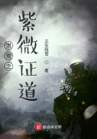 洪荒之紫微证道在线阅读