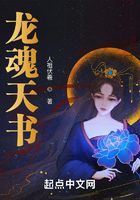 龙魂天书在线阅读