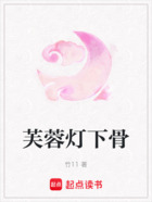 芙蓉灯下骨在线阅读