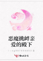 惡魔挑釁親愛的殿下在線閱讀