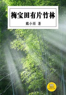 梅寶有片竹林（中國好小說）