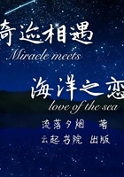 奇迹相遇海洋之恋在线阅读