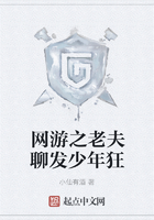 网游之老夫聊发少年狂在线阅读