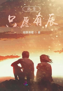 此生只愿有辰