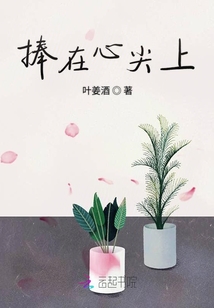 捧在心尖上