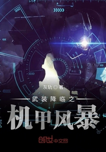武裝降臨之機甲風暴