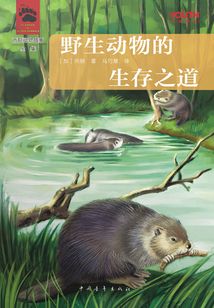 西頓野生動物故事全集：野生動物的生存之道