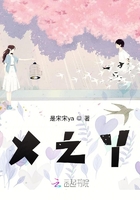 X之Y