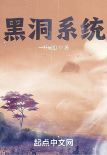 黑洞系统