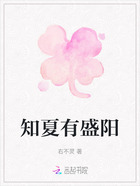 知夏有盛陽在線閱讀
