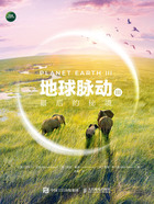 地球脈動Ⅲ：最后的秘境在線閱讀