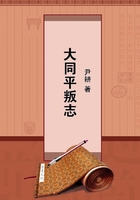 大同平叛志在線閱讀